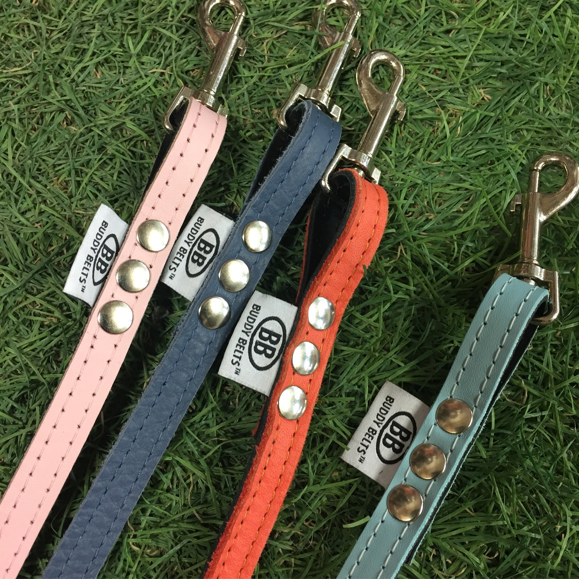 Buddy Belt Leashes Dream Dog Boutique